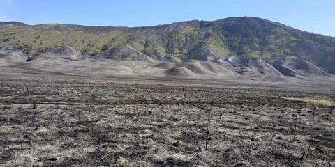 Scorched Valleys and Smoky Hills: Aftermath of Fire in Bromo’s Heartland