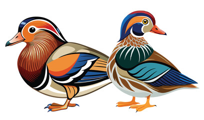 Obraz premium Male and female mandarin ducks illustration
