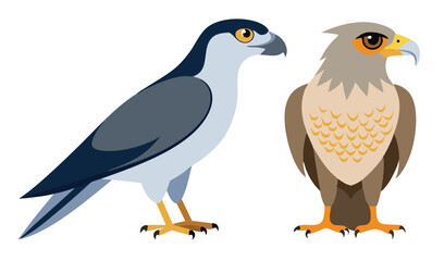 Naklejka premium Two birds of prey illustration vector graphic