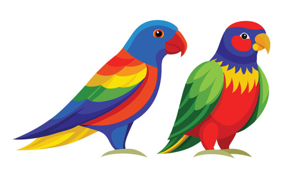 Two colorful rainbow lorikeets bird illustration