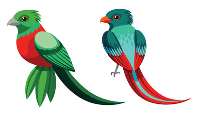 Fototapeta premium Two vibrant resplendent quetzals bird illustrations