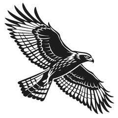 Silhouette hawk on white background