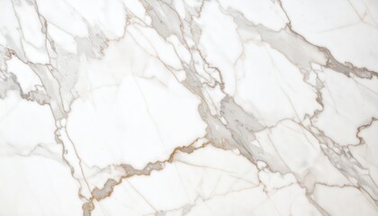 Luxurious White Marble Texture with Delicate Gold Veins Elegant Stone Surface