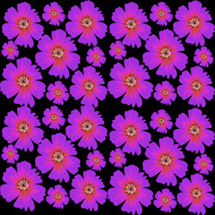 seamless floral pattern