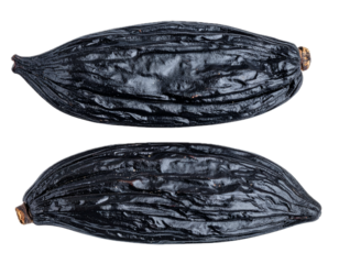 Tonka bean isolated on transparent background