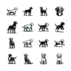 Fototapeta premium Labrador retriever dog logo vector black white illustration