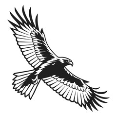 Silhouette hawk on white background