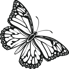 Black and White Butterfly with Detailed Wing Patterns and Elegant Design
