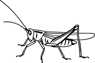 Grasshopper Side View, Black and White Outline Insect Drawing