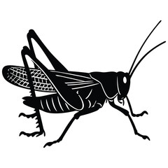 Grasshopper Side View, Black and White, Insect Silhouette