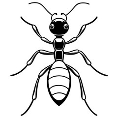 Ant line art  vector