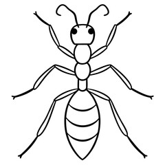 Ant line art  vector