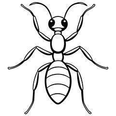Ant line art  vector