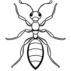 Ant line art  vector