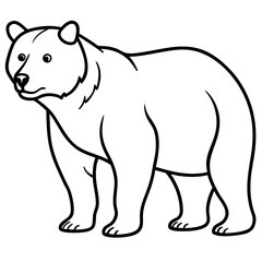 Bear line art vector