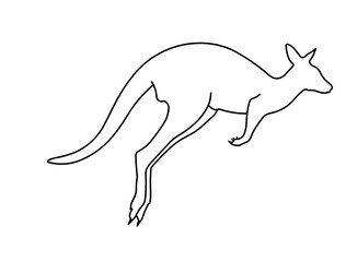 kangaro