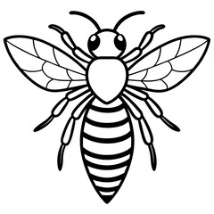 Bee line art  vector