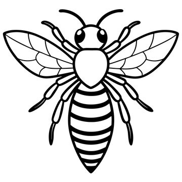 recommend clip art: Bee line art  vector