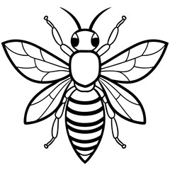 Bee line art  vector
