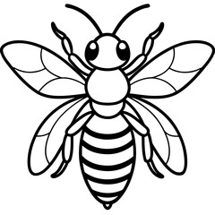 Bee line art  vector