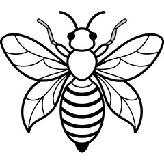Bee line art  vector