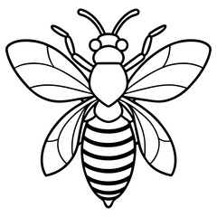 Bee line art  vector