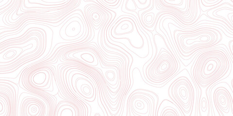  Abstract topographic contours map background, Topography map background White wave paper curved reliefs abstract background