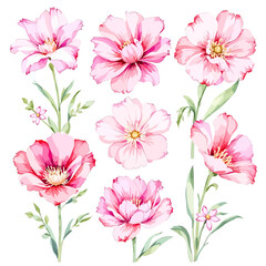 Obraz premium Beautiful Garden Flower Clipart Set for Digital and Printable Projects