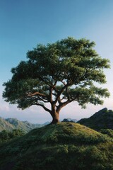 Obraz premium The lone tree stands majestically on a hilltop, overlooking the verdant landscape below.