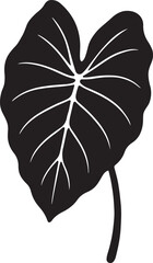 arum leaf silhouette design botanical vector illustration.