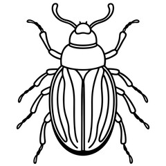 Beetle line art vector
