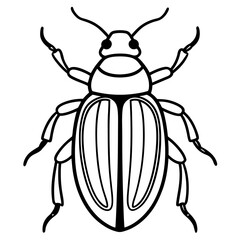 Beetle line art vector