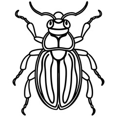 Beetle line art vector