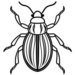 Beetle line art vector