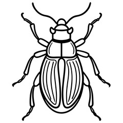 Beetle line art vector