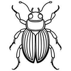 Beetle line art vector
