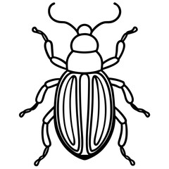 Beetle line art vector