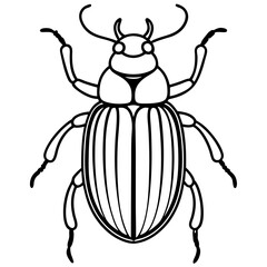 Beetle line art vector