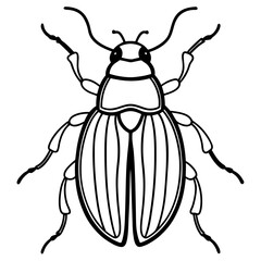 Beetle line art vector