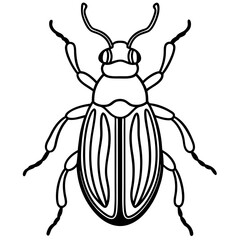 Beetle line art vector