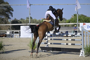 Equestrian Rider and Horse Clearing a Jump in a Showjumping Competition
