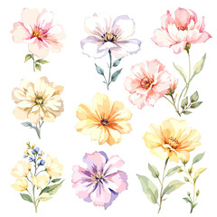 Obraz premium Gentle Flowers Blooming Freely Beneath the Warm Embrace of Spring