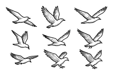 Obraz premium Hand-Drawn Bird Icons
