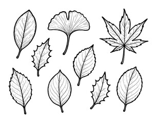 Sketch Leaf Icons