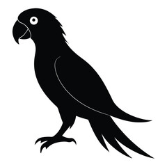 Fototapeta premium Silhouette parrot on white background