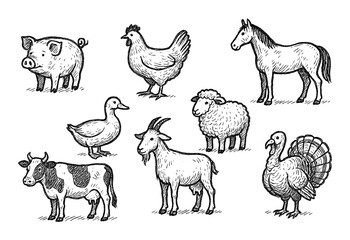 Farm Animal Icons