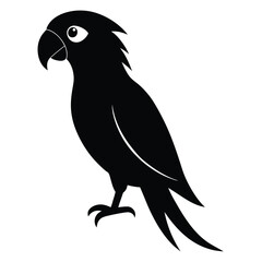 Fototapeta premium Silhouette parrot on white background