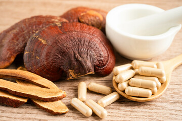 Lingzhi or Reishi mushroom with capsules, organic natural healthy food.
