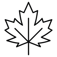 maple leaf vector outline icon isolated on white background