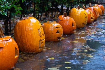 Large orange pumpkins placed on pavement in rain